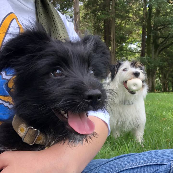 6f8ed68f 4d8e 4b66 abcf fa7fbcea73c9 1531088149151