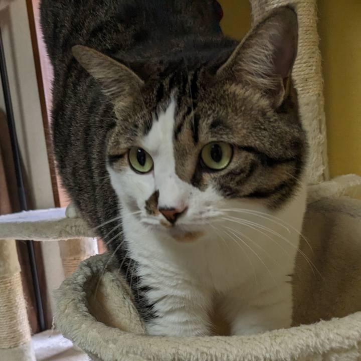 6f8ed99e 05e5 469b 828a 39765e4c6196 1693874853194