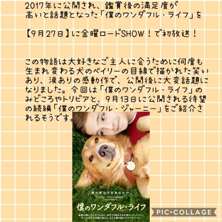 6f8ef3d7 6a8f 437f 894c 9ad57a29f5b1 1569510292773