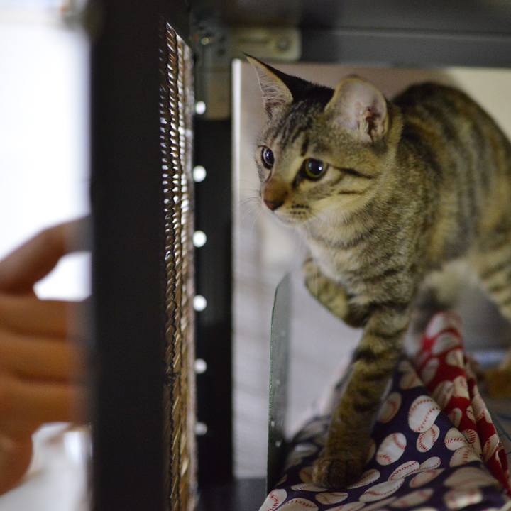 6f8f30fd 2dad 4e41 87c5 98834a464136 1541676014268