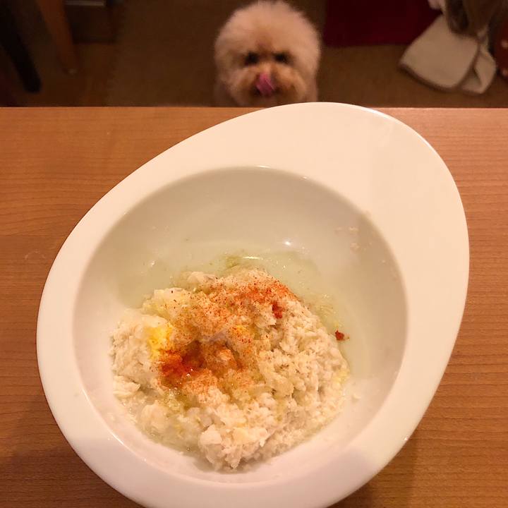 6f8f5a48 aec0 4c27 b047 c29a91a9e1cd 1552813791244