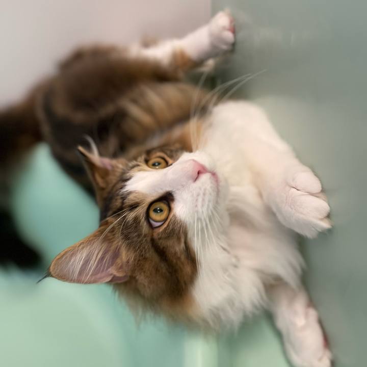 6f8f5ff6 9c5e 4087 a9fb df17cd7c5ffe 1640637711217