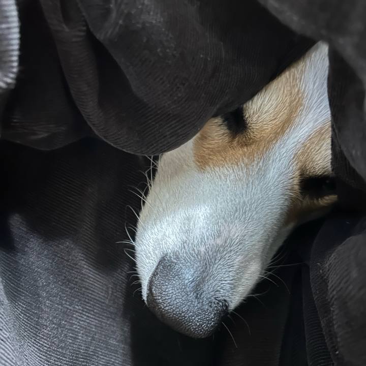 6f8f9ffb b766 4534 b22a ec3edbaf2a71 1768651235387