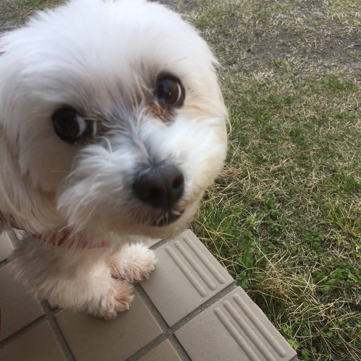 6f8fd5c4 871f 4849 b870 9135fa02bb44 1523582955905