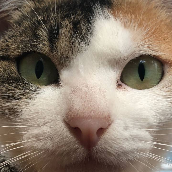 6f8fdd04 18d9 4bef 9299 88aa7d2bac75 1575782803839