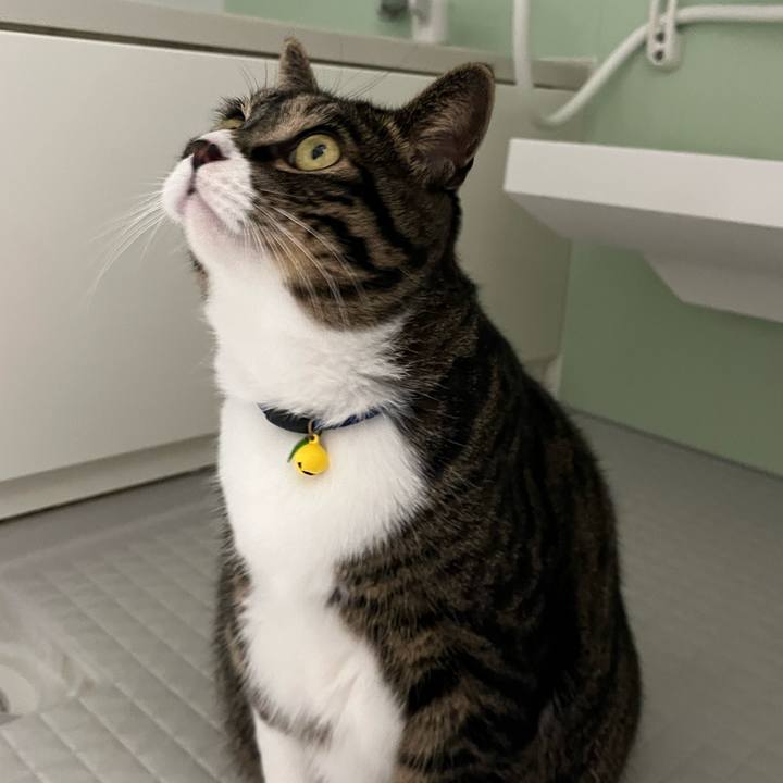 6f8ff502 51dc 4e3d 99f7 428eb78265ba 1760486283114