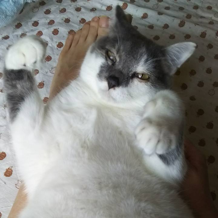 6f8ffc66 2a6c 4e4d ac92 c6a0f3e7d6fc 1528162391088