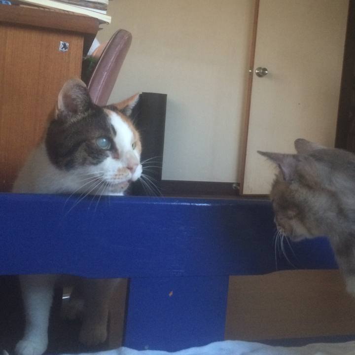 6f900dd2 438d 4a01 83b4 cd5db47e424c 1567890381454