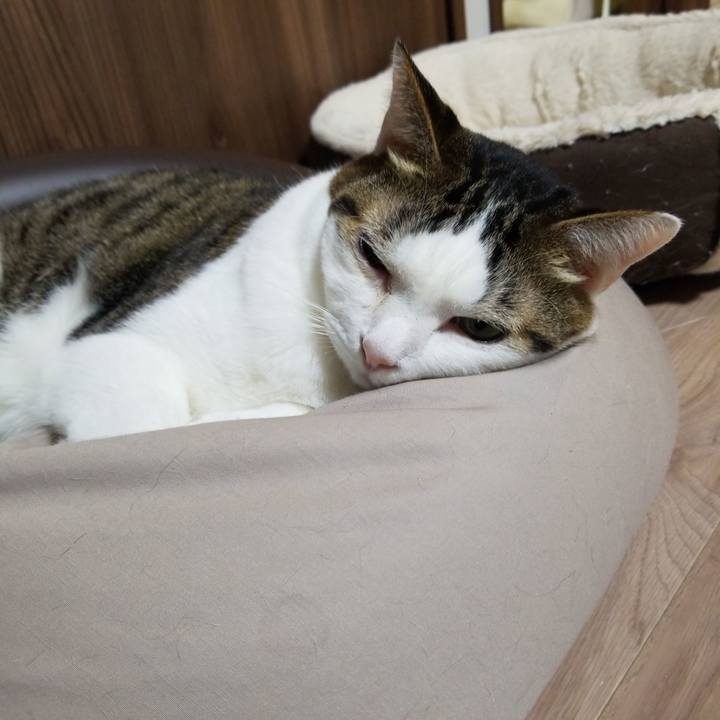 6f902951 7677 4366 8237 e1c1a1e63113 1574197979869