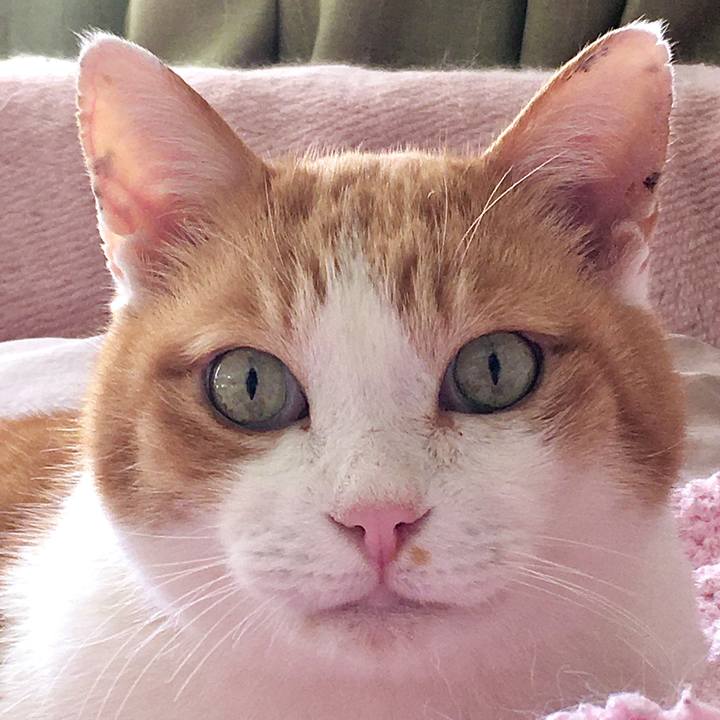 6f903540 ecc6 4509 be3b 4f0804ddce98 1612768737099