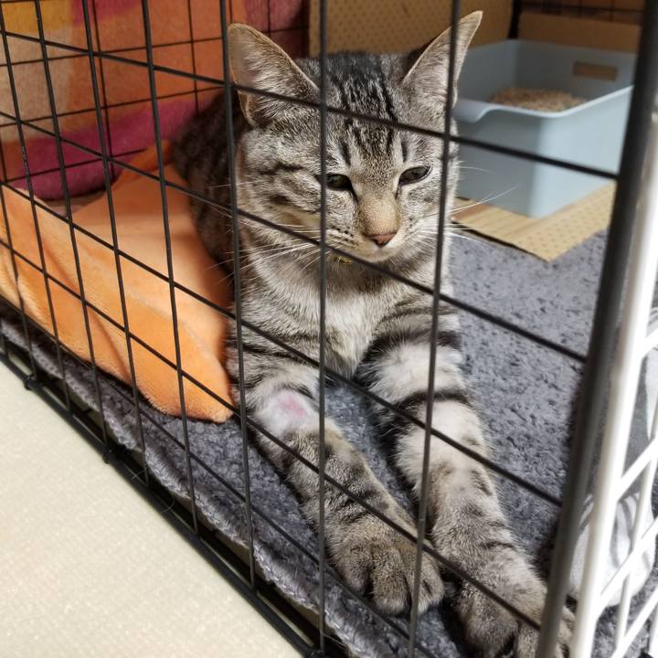 6f9060f5 44a9 465c 931e 777656043b7a 1675173297260