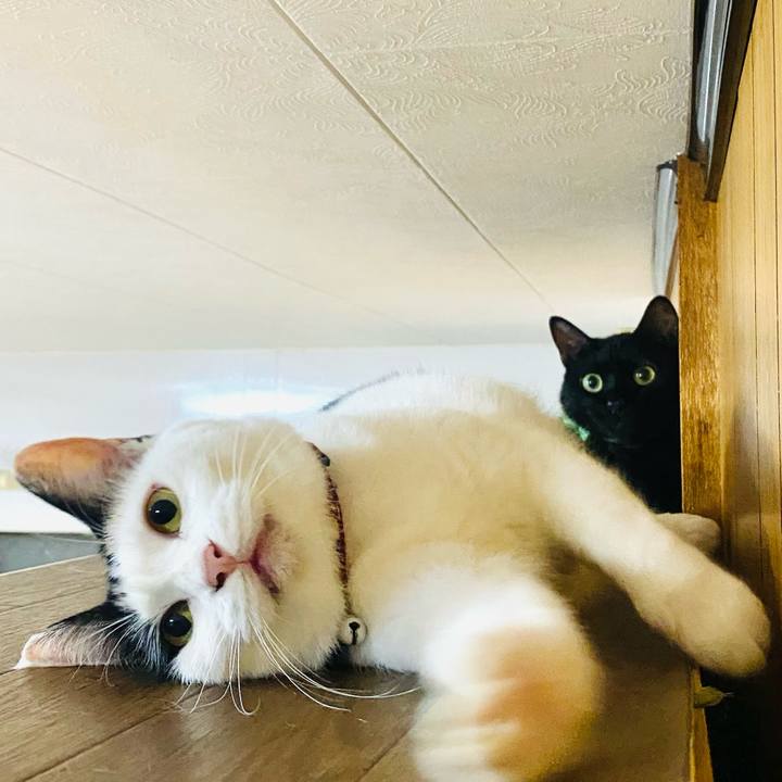 6f909d7f e977 44c7 b697 c74effdb1bad 1662899169949