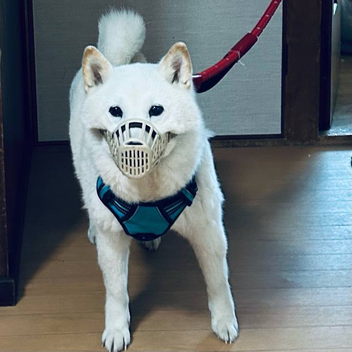 6f90d5d2 3c84 456e 8266 bfe935119efd 1683332278222