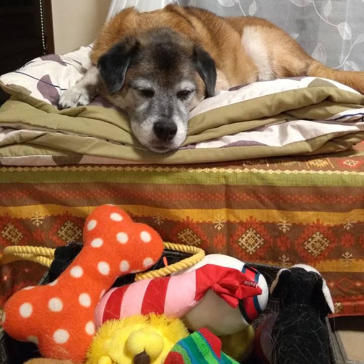 6f90e738 c968 47b3 8294 407fbb78f666 1567860791298