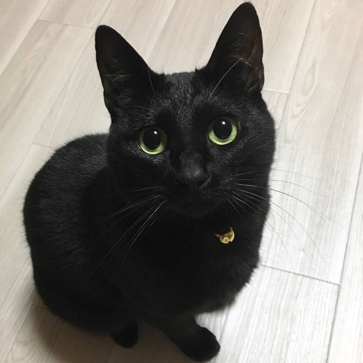 6f910ec6 fa13 48a5 a0bf 331b6ad70399 1518188950314