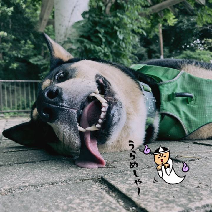 6f910ffb d603 406a a409 e055769f70a4 1598795982455