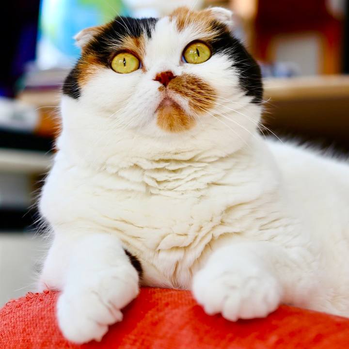 6f915ee2 a708 40b3 8629 fec113040296 1651463072097