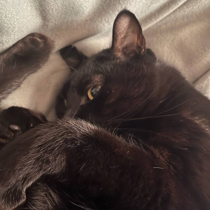 6f917c14 9e3c 40f4 9e54 eb6a22c4bf05 1673832543121