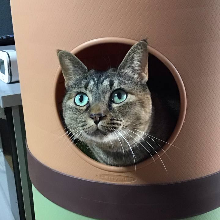 6f91d172 59a7 4a9a 9b8d 5ba1dcb08b87 1728205252830