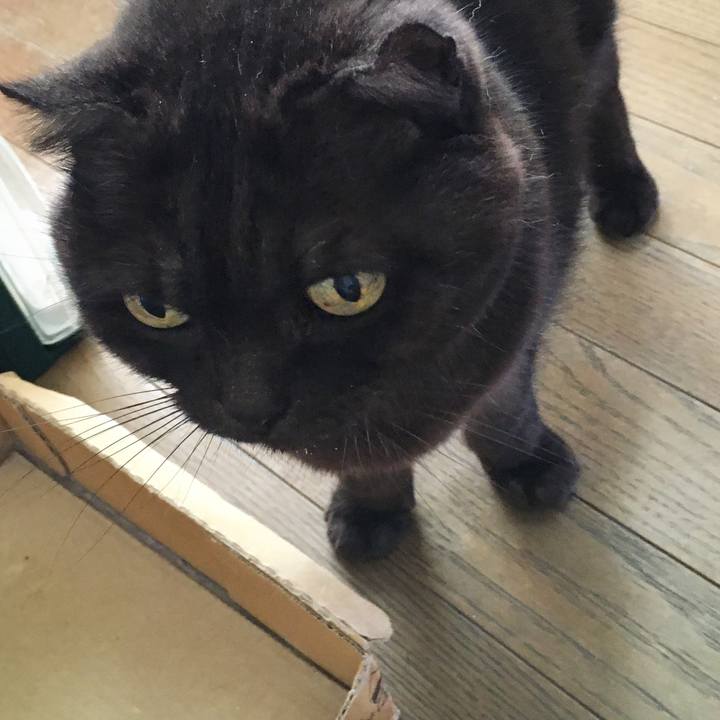 6f91d886 8613 4761 92a6 21cf7f56cc37 1580431495355