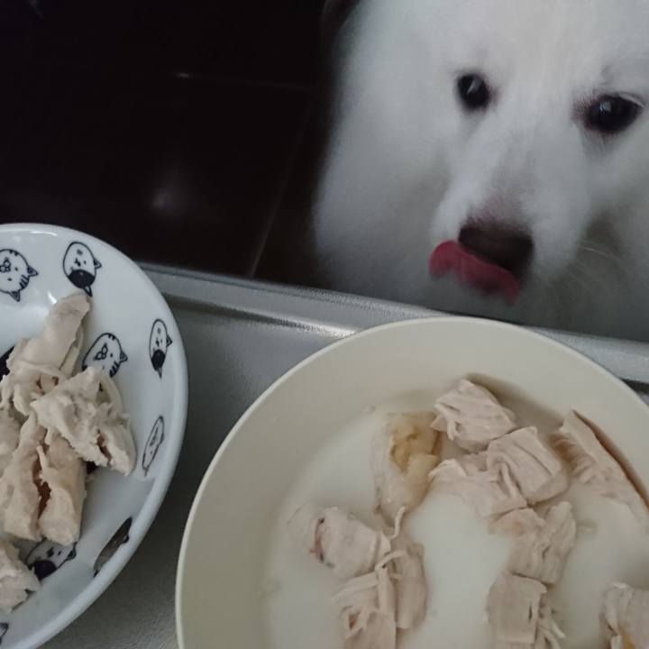 6f91ddac 71a9 4a0a 85ef b740f0409010 1567572624867