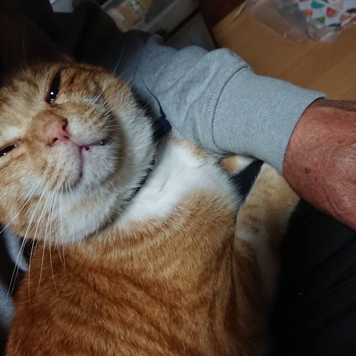 6f91eb0c 89cd 4646 8d33 cb29c4595531 1602449197690