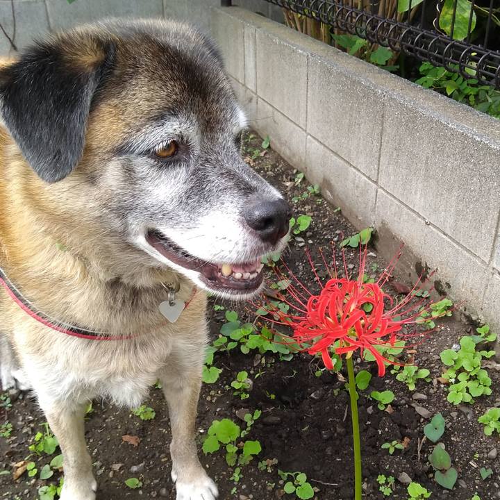 6f92039a da2b 411a 8acd a25ad84bd817 1569456168742