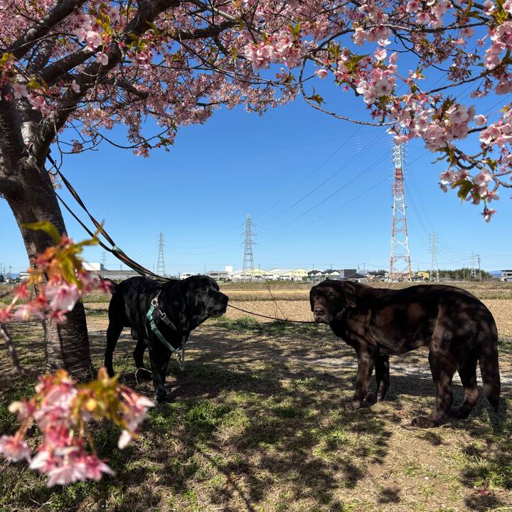 6f9219da 11aa 48b2 a357 777f2b00b2aa 1773579301036