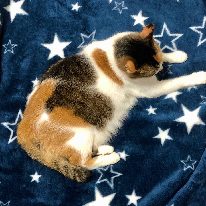 6f923e06 4aef 451a bd52 e960cde37070 1589552168206