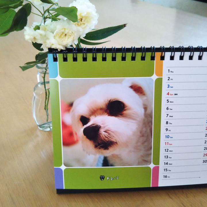 6f926e87 d0b9 470c bfb9 ae4870e9a95a 1618806344928