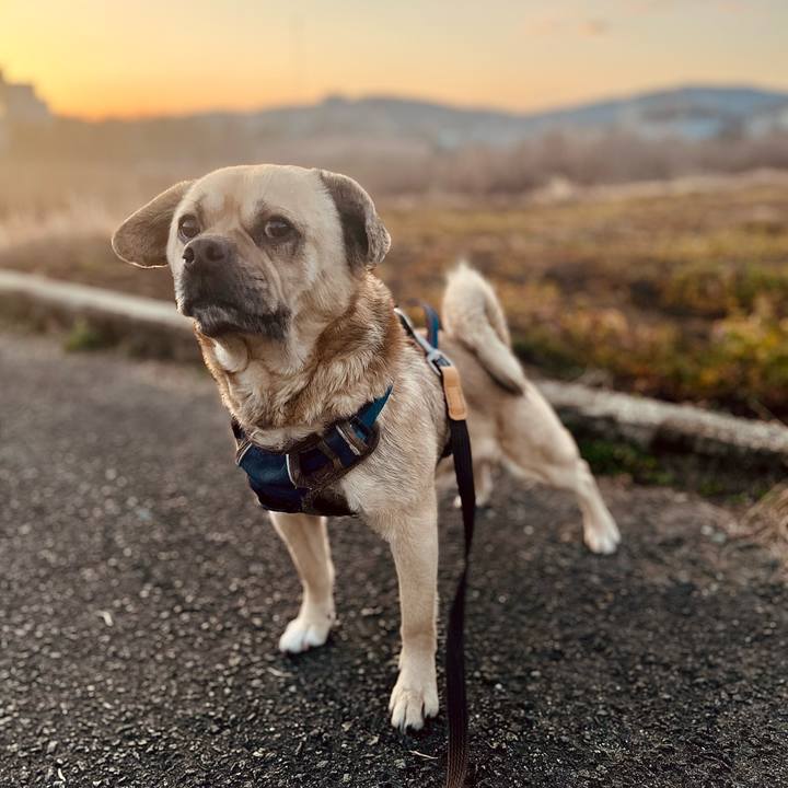 6f929b0a 677b 4d3f b4b2 6bd101578a97 1771712441192