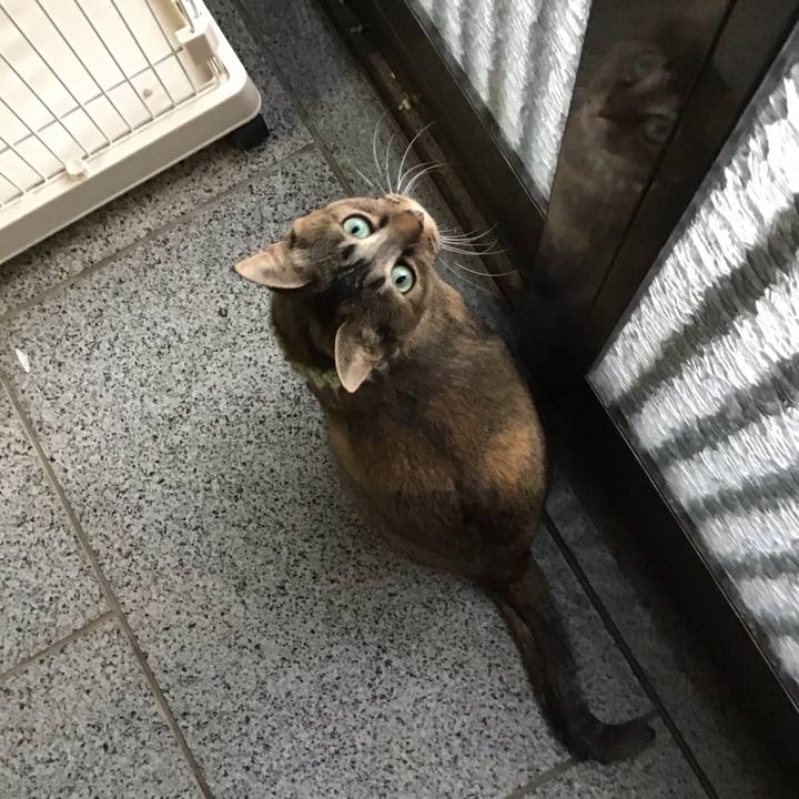 6f92a9f4 b63c 432f b816 bae54b023ad3 1645259546615