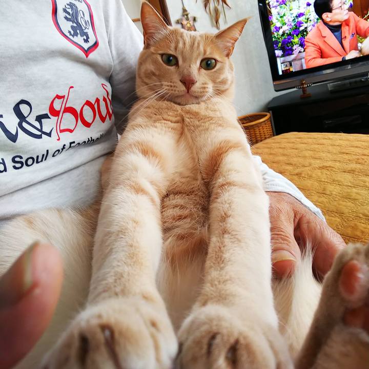 6f92b209 13ed 402f 98b8 0b33f40b9d6c 1578787494461