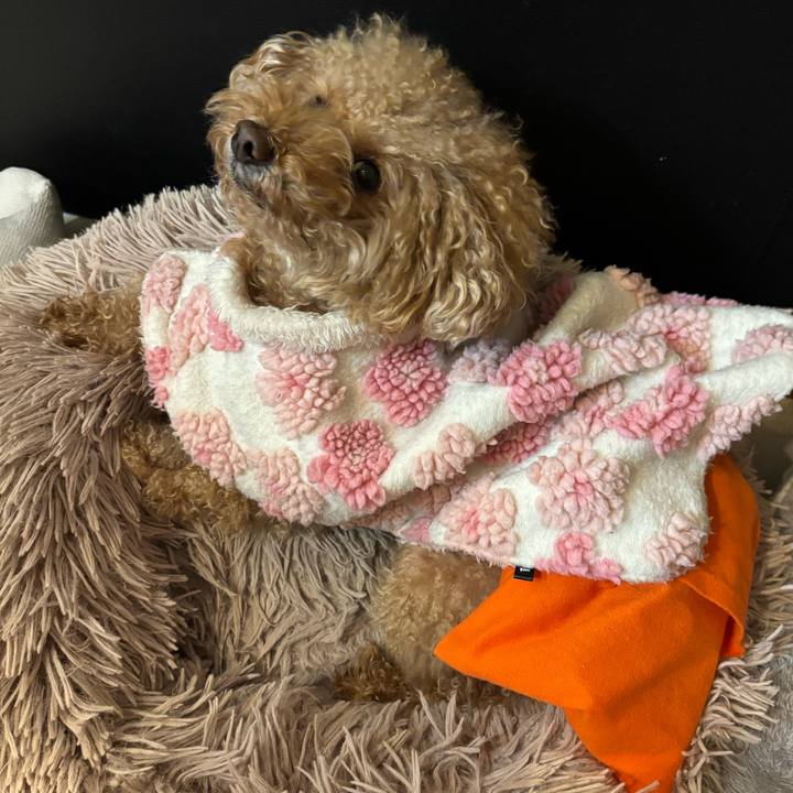 6f92d3e4 e95c 4d58 8f94 b5d464c6e67f 1764856961594