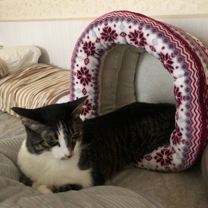 6f92d9c5 1b1e 461a a2c2 ce5c2e2aba23 1590300540177