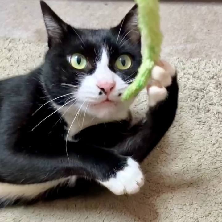 6f92dfa9 526c 4bcf ac6d c8163f338cf2 1729223701569