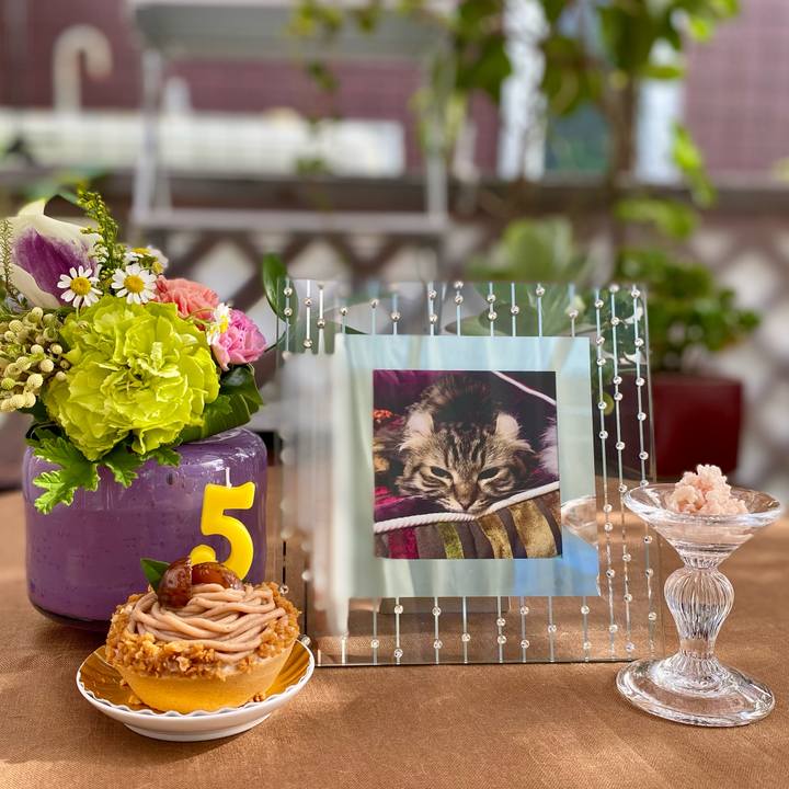 6f9301e3 d60a 46d1 b6e1 56b925a2e7bb 1632661714151