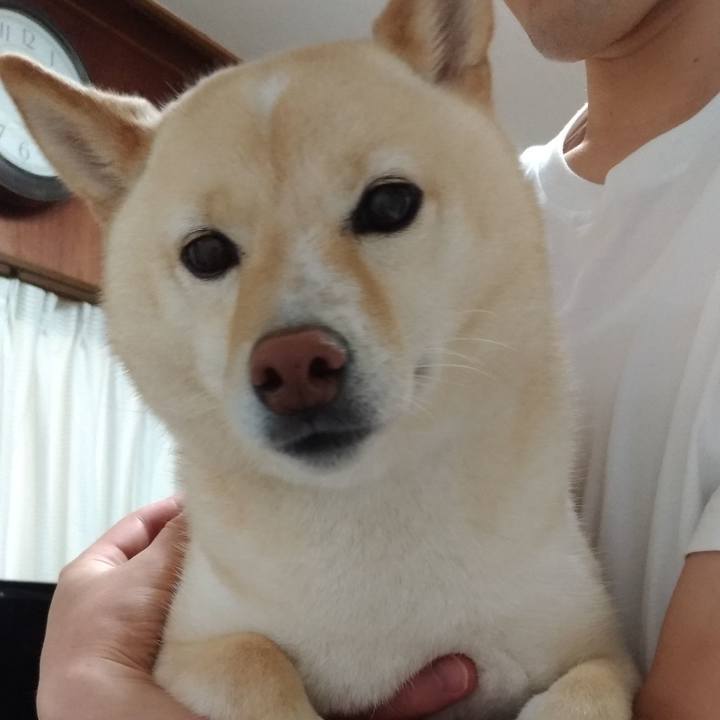 6f932299 54d3 405b bec5 351efc3aa276 1594793496824