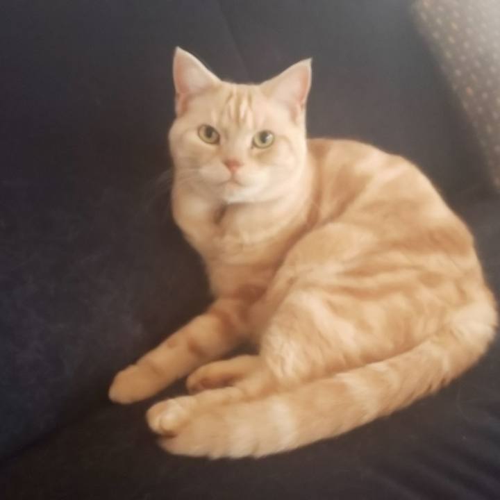 6f93347e 4e60 4134 a6eb 8dd8d955daf7 1541725785192