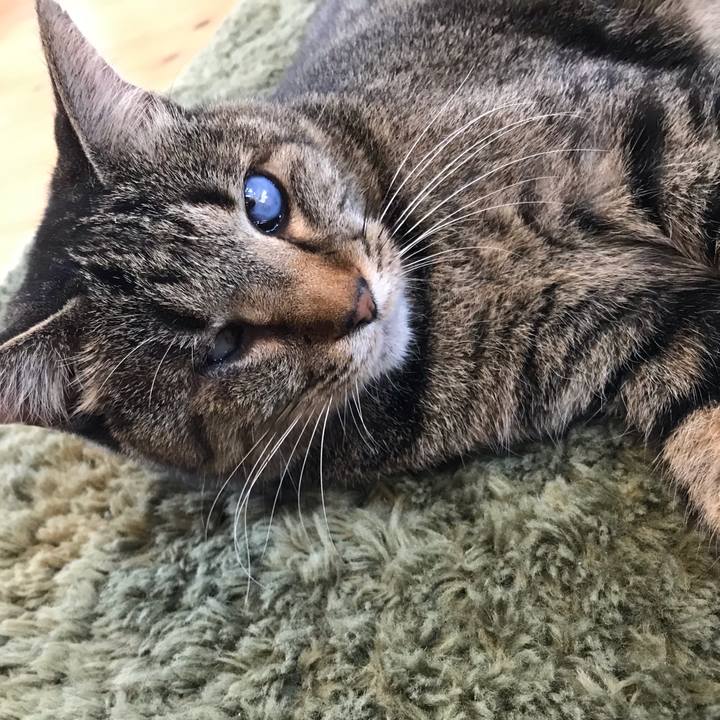 6f934a80 e936 4363 a9fc f6f8ac05054f 1557905814350