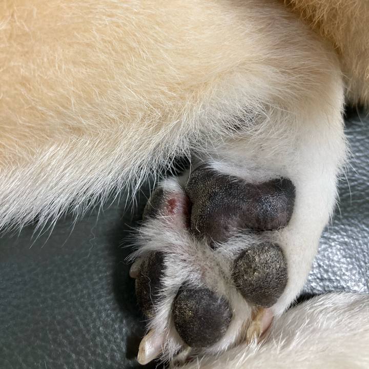 6f9373a1 8672 4e6e 8d89 88a10a621478 1625289572583