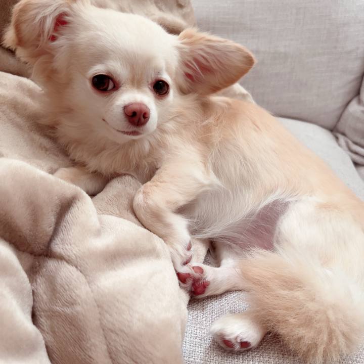 6f937802 84de 4896 9d52 f6c07a7a332f 1719223645913