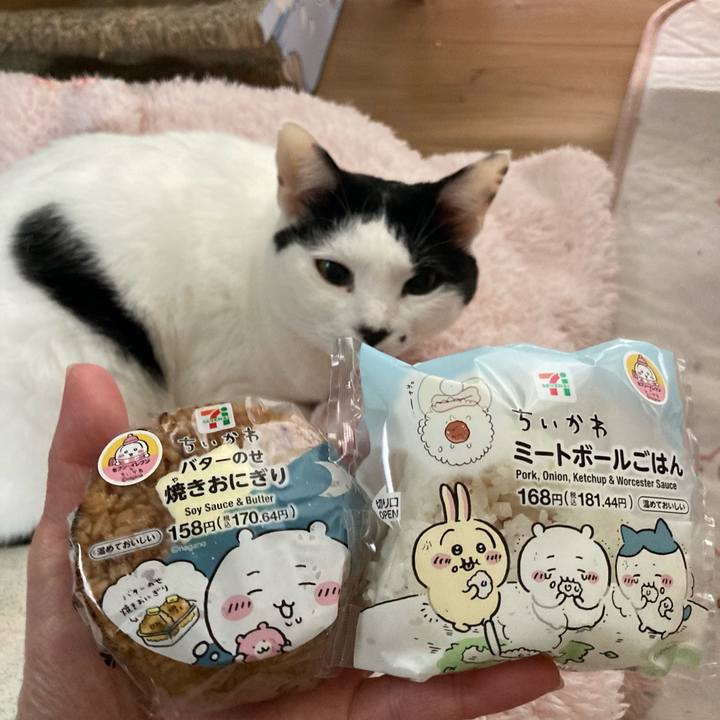 6f938484 0c89 4af2 a0a4 a2fb82c28033 1764728054934