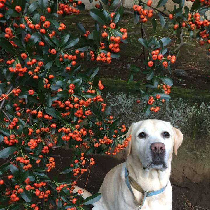 6f938c14 72f1 4658 9f90 d44b5959d824 1508972353004