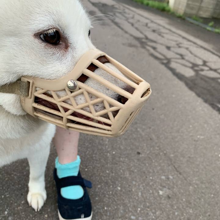 6f93b83f edf5 4a1b a3c0 326426b77b52 1599253466093