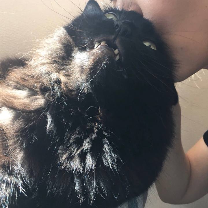 6f93d672 5bcf 4d27 9ec8 e14c1ccade37 1564184064663