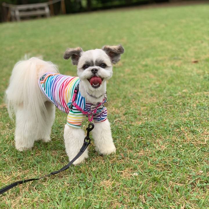 6f93d782 44e3 4a4c baa5 90a7e5cfc7df 1559867503065