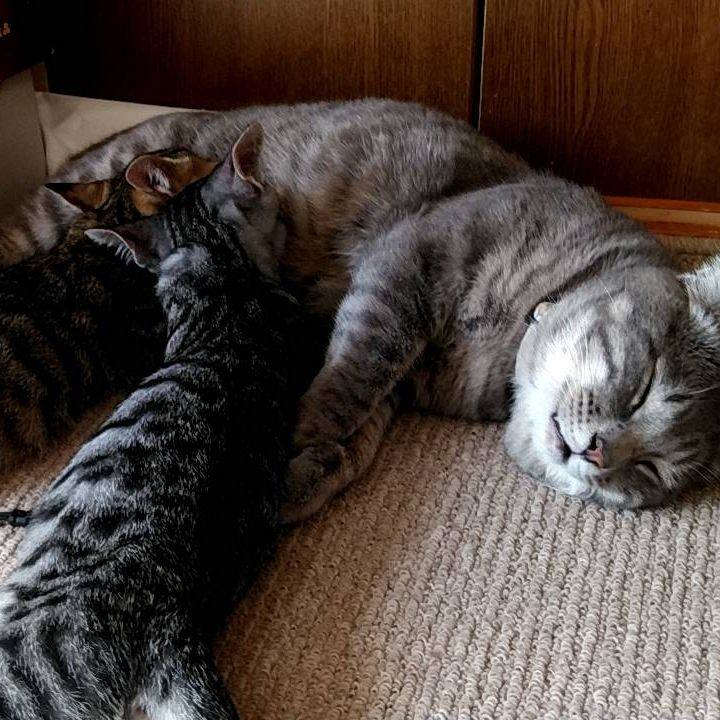 6f93e8a0 4571 4988 b189 41e008aa42b8 1694264978419