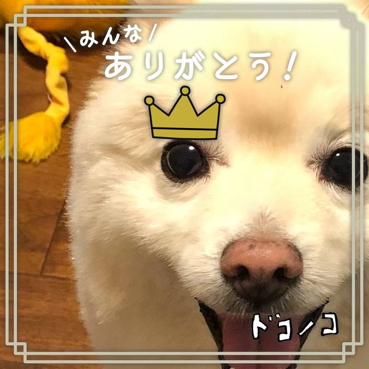 6f93eb7a 8fe0 4bbd 92ba 4f1f2ee0374f 1623191734213