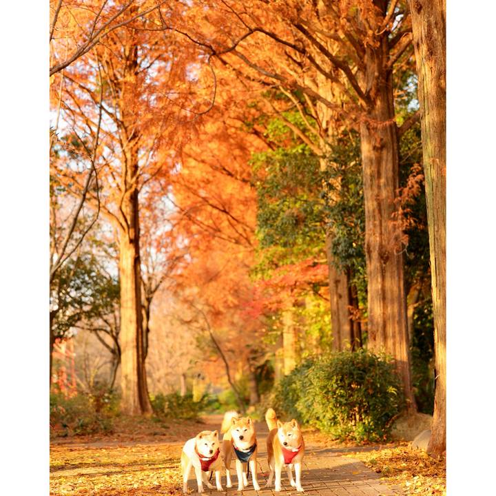 6f946d79 ca8a 4263 a075 48e14d05dcc8 1765458560790